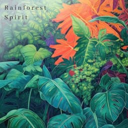 Rainforest Spirit - Sound of Nature Library