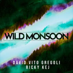 Wild Monsoon - David Vito Gregoli