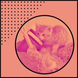 Music for Afternoon and Cats - Musica para Gatos