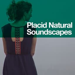 Placid Natural Soundscapes - Ambient Nature Sounds
