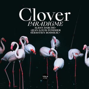 Clover - Paradigme - Alban Darche