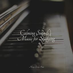 Calming Melodies to Soothe the Soul - Peaceful Piano Chillout