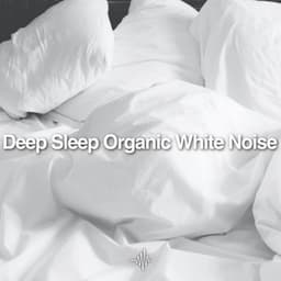 Loopable Deep Sleep Organic White Noise - Dream Frequency