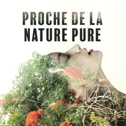 Proche de la nature pure: Sons apaisants pour dormir et se détendre - Musique Coeur de la Nature