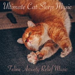 Ultimate Cat Sleep Music: Feline Anxiety Relief Music - Cat Music