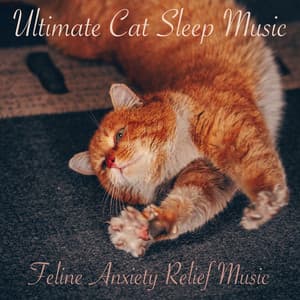 Ultimate Cat Sleep Music: Feline Anxiety Relief Music - Cat Music
