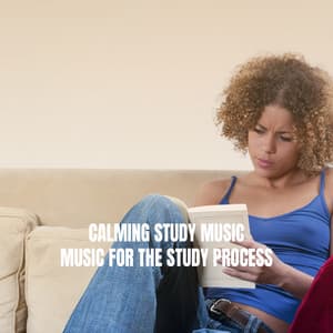 Calming Study Music: Music for the Study Process - Exam Study Classical Music Orchestra
