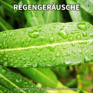 #1 Regengeräusche zum Schlafen und zur Entspannung auch für Schwangere - Meeresrauschen
