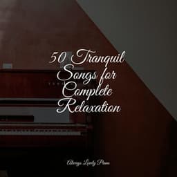 Calming Ambient Melodies | Quiet Listening - Soulful Piano Group