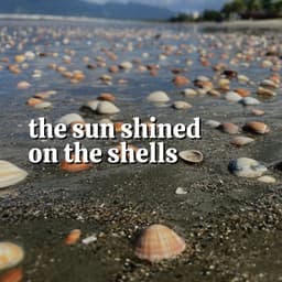 The Sun Shined on the Shells - Nature Of Sweden