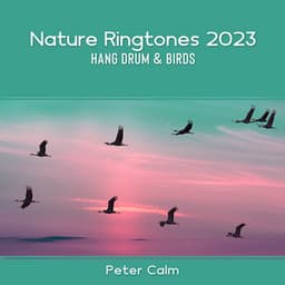 Nature Ringtones 2023: Hang Drum & Birds – Morning in the Garden - Peter Calm
