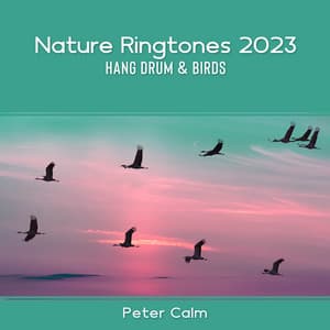 Nature Ringtones 2023: Hang Drum & Birds – Morning in the Garden - Peter Calm