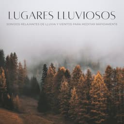 Lugares Lluviosos: Sonidos Relajantes De Lluvia Y Vientos Para Meditar Rápidamente - Sonidos De Lluvia