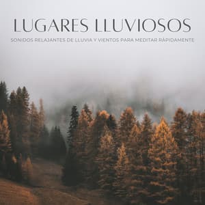 Lugares Lluviosos: Sonidos Relajantes De Lluvia Y Vientos Para Meditar Rápidamente - Sonidos De Lluvia