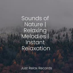 Sounds of Nature | Relaxing Melodies | Instant Relaxation - Children's Music