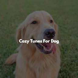 Cozy Tunes For Dog - Súper Música de Elevador