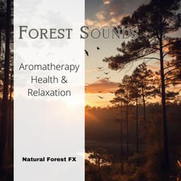 Forest Sounds - Aromatherapy, Health & Relaxation - Natural Forest FX