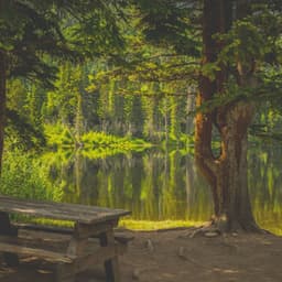 Romantic Background Music for Deep Relaxation - Water Ambience