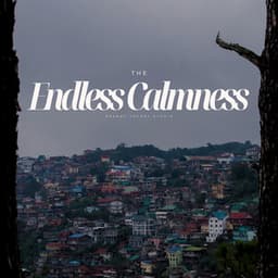 The Endless Calmness - Deep Relaxation Meditation Academy