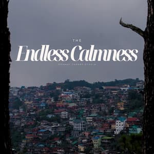 The Endless Calmness - Deep Relaxation Meditation Academy