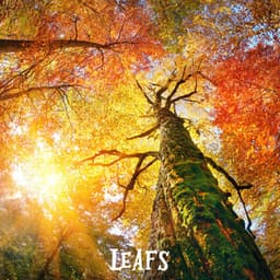 ! ! ! ! ! ! " Leafs " ! ! ! ! ! ! - Forest Sounds