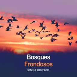 Bosques Frondosos - Bosque Ocupado