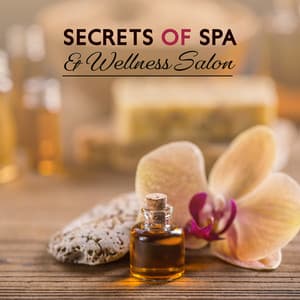 Secrets of Spa & Wellness Salon: 2019 New Age Ambient & Nature Music Collection Selected for Spa & Wellness Center, Hot Oil Relaxing Massage, Sauna - Sauna Spa Paradise