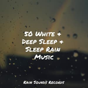 50 White & Deep Sleep & Sleep Rain Music - Japanese Relaxation and Meditation