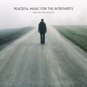 Peaceful Music for the Introverts: Serene New Age Collection for Relaxing Alone and Being with Yourself - Odyssey for Relax Music Universe