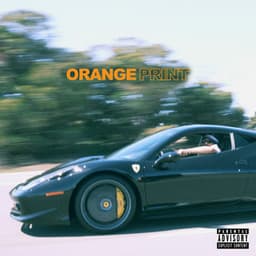 Orange Print - Larry June