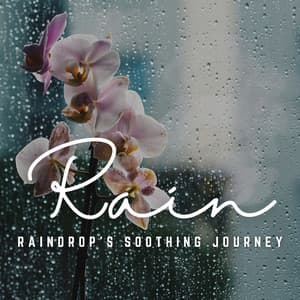 Relaxation Rainfall: A Journey to Inner Calm - Calming Sounds