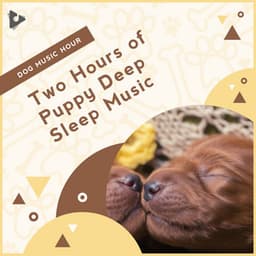 2 Hours of Puppy Deep Sleep Music - Dog Music Hour