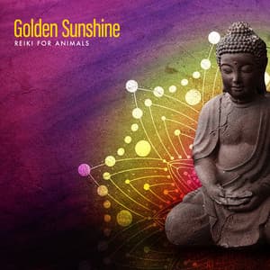 Golden Sunshine - Reiki for Animals