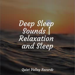 Deep Sleep Sounds | Relaxation and Sleep - Natureza Musica Bem-Estar Academia