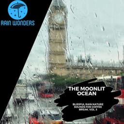 The Moonlit Ocean - Blissful Rain Nature Sounds for Coffee Break, Vol. 3 - Rain Sounds