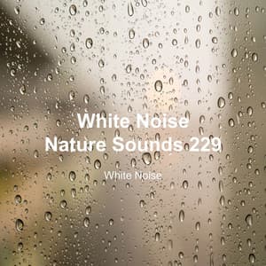 White Noise 229 - White Noise