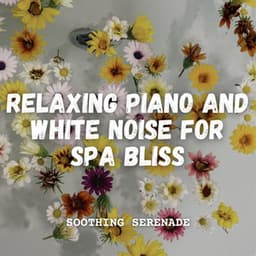 Soothing Serenade: Relaxing Piano and White Noise for Spa Bliss - Looped White Noise Focus