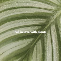Fell in love with plants - Acoustic Coffee Shop Music