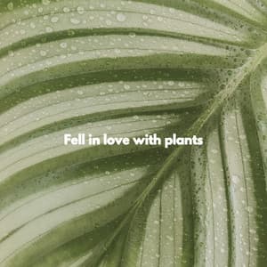 Fell in love with plants - Acoustic Coffee Shop Music