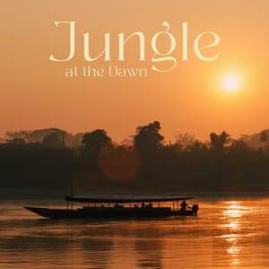 Jungle at the Dawn: Calm African Music with Relaxing Jungle Background Sounds - Nature Ambience