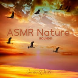 ASMR Nature Sounds: Ocean Waves, River and Singing Birds & Relaxing Morning Ringtones - Sonia White
