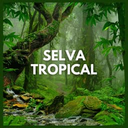 Selva Tropical - Sonidos De La Selva
