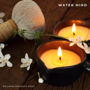 Water Mind: Therapy Music - Wellness Spa Music Oasis