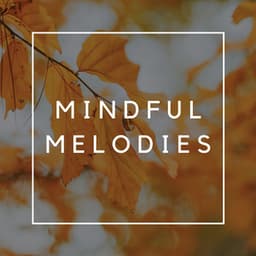 Mindful Melodies: A Harmonic Journey to Zen Relaxation - Sleep Songs 101