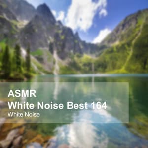 White Noise ASMR Best 164 - White Noise