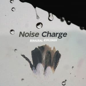 Noise Charge - Binaural Explorer
