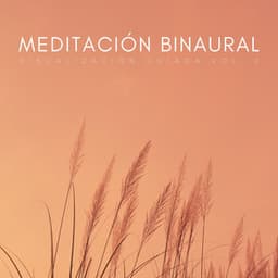 Meditación Binaural: Visualización Guiada Vol. 2 - Latidos binaurales Soledad