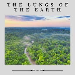 The Lungs of the Earth - Zen Garden Secrets
