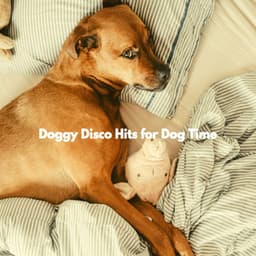 Doggy Disco Hits for Dog Time - Relaxing Dog Music
