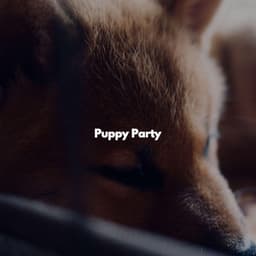 Puppy Party - Jazz & Study Playlist